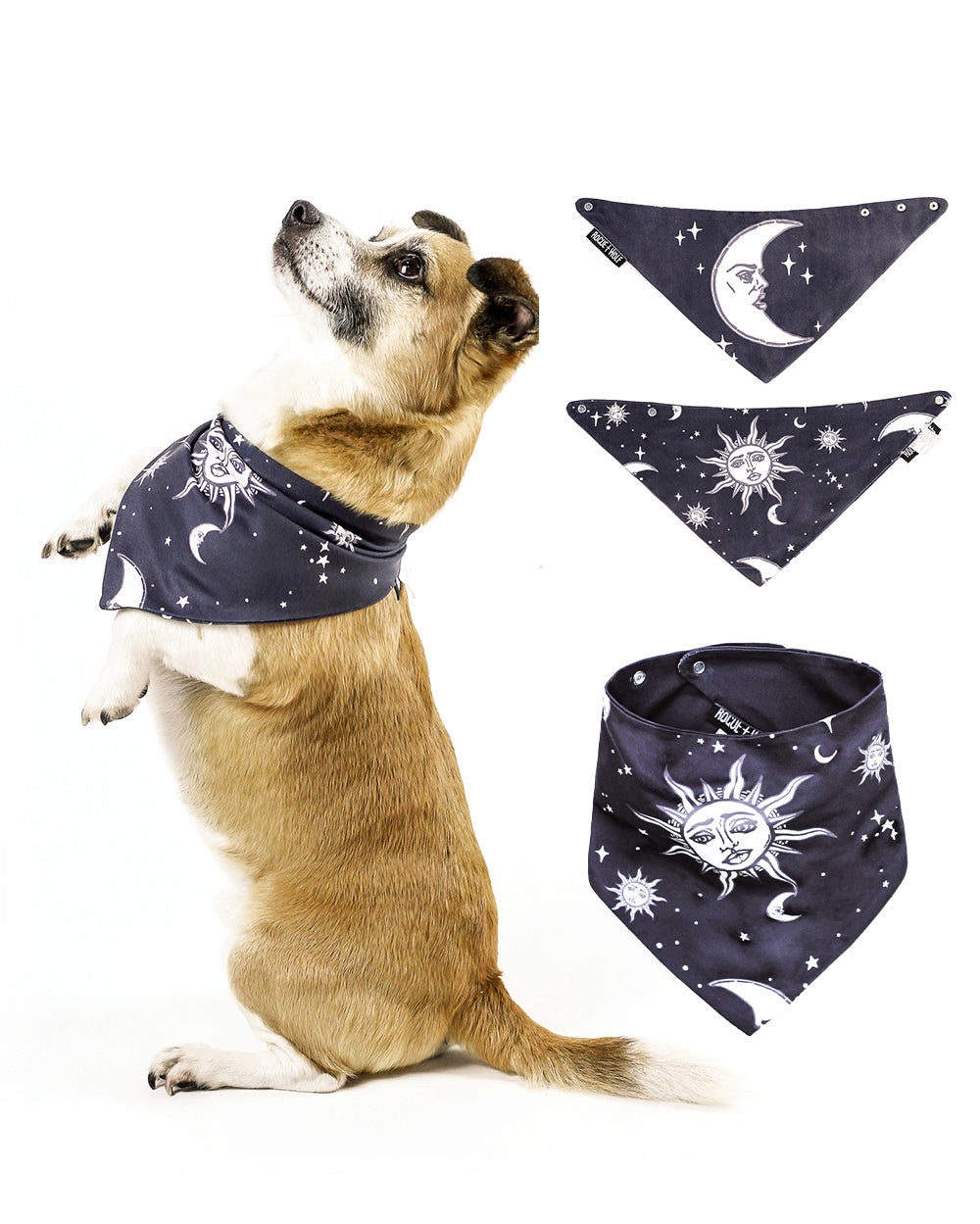 Bandana Para Perro / Gato