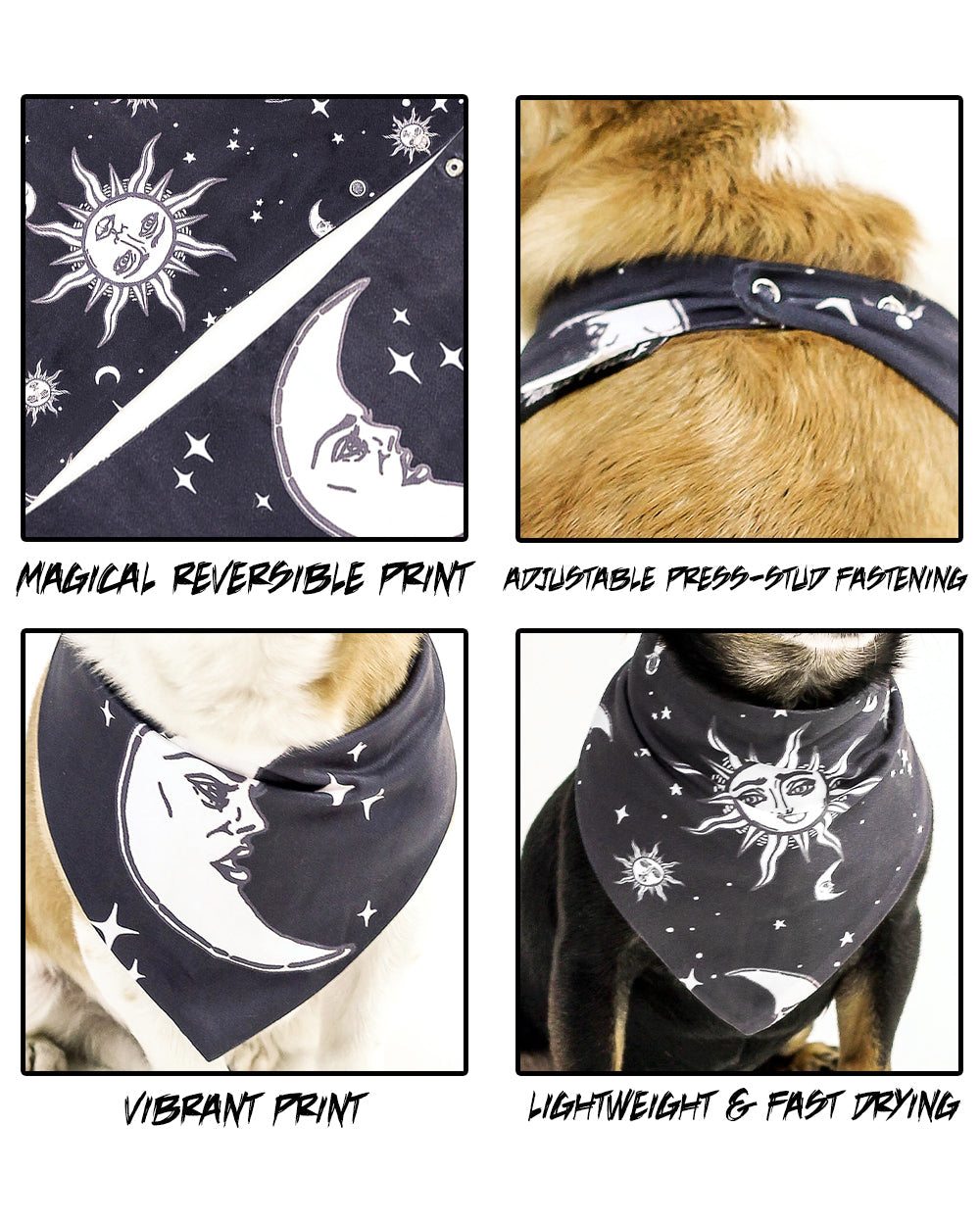 Bandana Para Perro / Gato