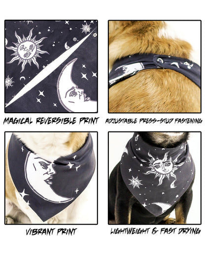 Bandana Para Perro / Gato